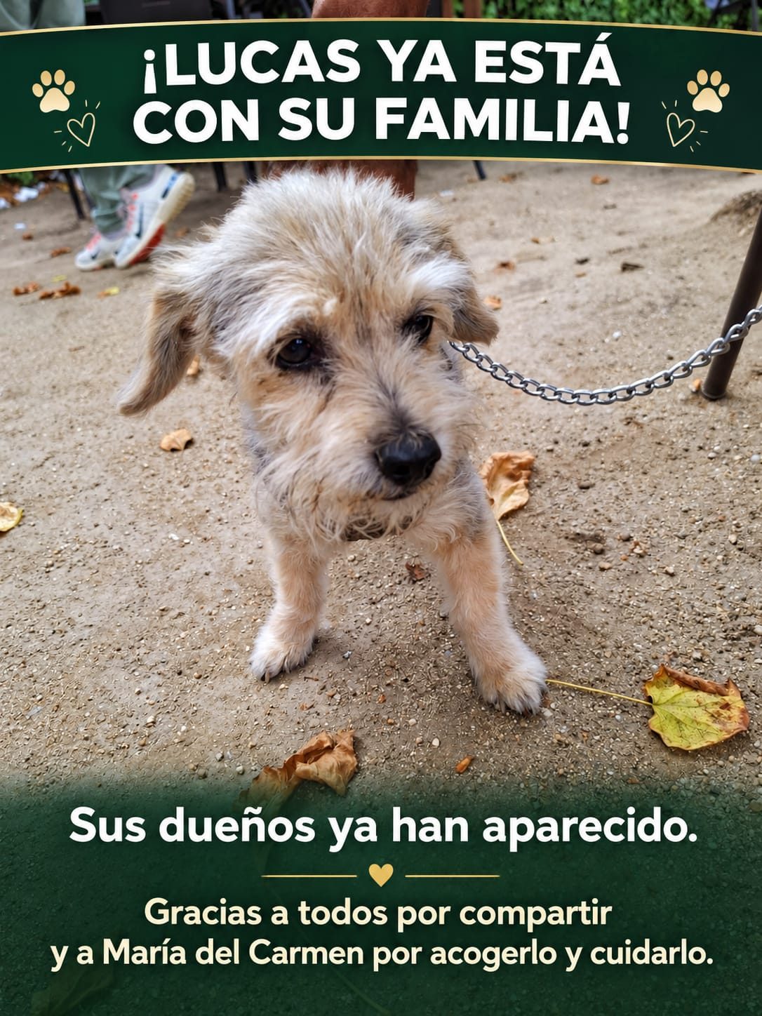 ¡Lucas ya está con su familia!
