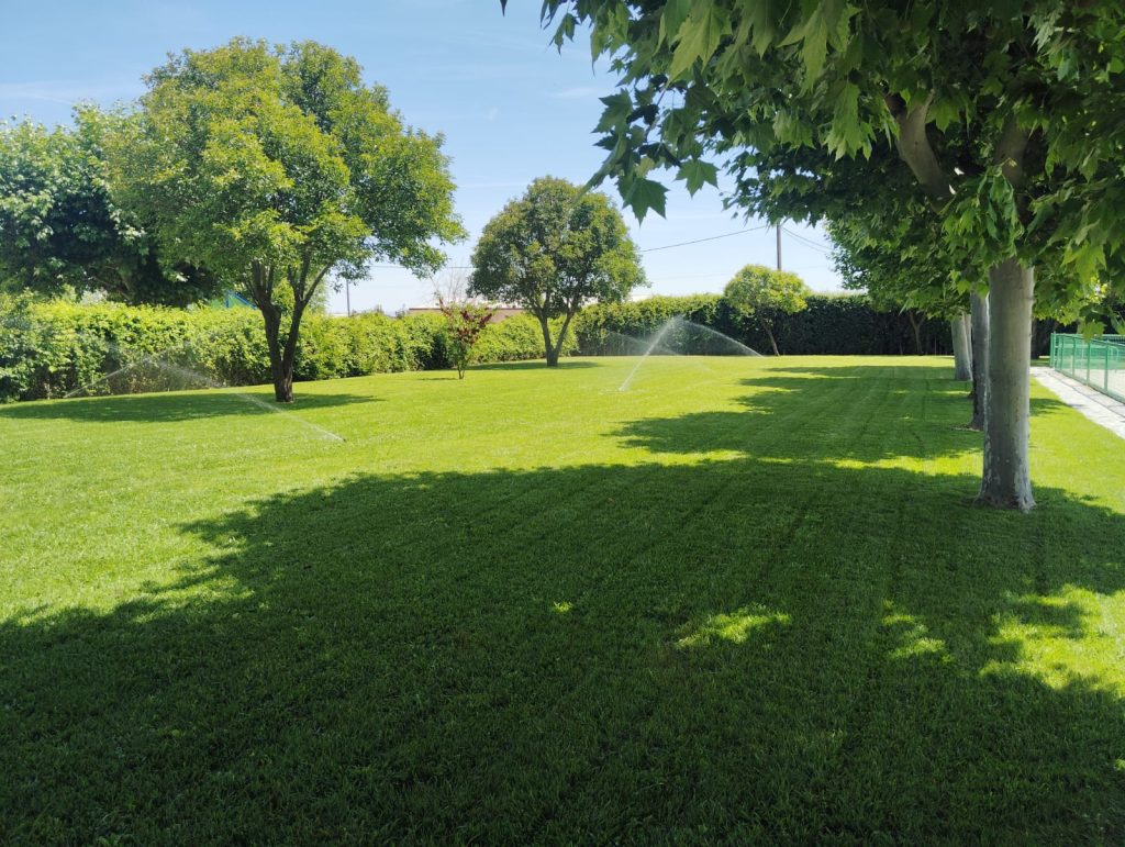 Amplia zona de césped de la piscina municipal con árboles y aspersores